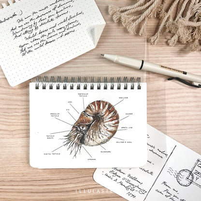 Anatomy Notebook