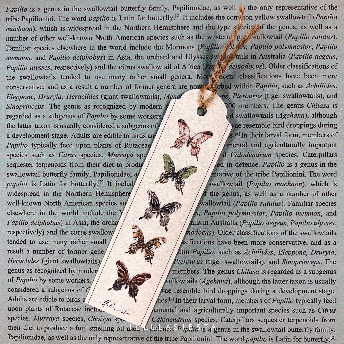 Papilio Bookmark